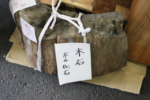 木の化石